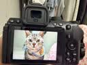 尼康（Nikon）【国行带票】Z50II半画幅新手入门级微单相机Z50 II 高清摄影摄像 直播美颜自拍z50二代便携相机 Z50II 单机/未开封原包装（不含镜头） 标配【送钢化膜+64G卡+沣标电 实拍图
