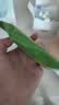 牛油果湿巾 眼唇脸部深层清洁温和不刺激一次性 水棉抽取式 牛油果卸妆湿巾12片/包 实拍图