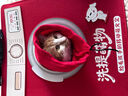 国潮中国毛毡手提宠物背包手提猫袋宠物袋手提包大容量便携 1个 实拍图