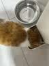 皇家室内成猫粮 I27 通用粮 12月以上 2KG 实拍图
