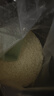 十月稻田 寒地之最 东北长粒香大米 8斤*4/箱装（品质甄选 16kg/32斤） 实拍图