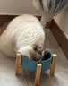 七彩缦爱心猫粮10斤5kg装鱼肉味猫咪牛肉味营养主粮通用幼猫成猫流浪猫 牛肉味10斤 实拍图