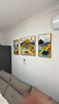 Sixpoetry 客厅装饰画现代简约沙发背景墙壁画轻奢三联晶瓷画大气高档挂画 福禄纳财（铝合金外框） 晶瓷画左右40*60+中间80*60亮面 实拍图