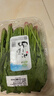 小汤山 菠菜 280g 基地直供新鲜蔬菜GAP认证 实拍图
