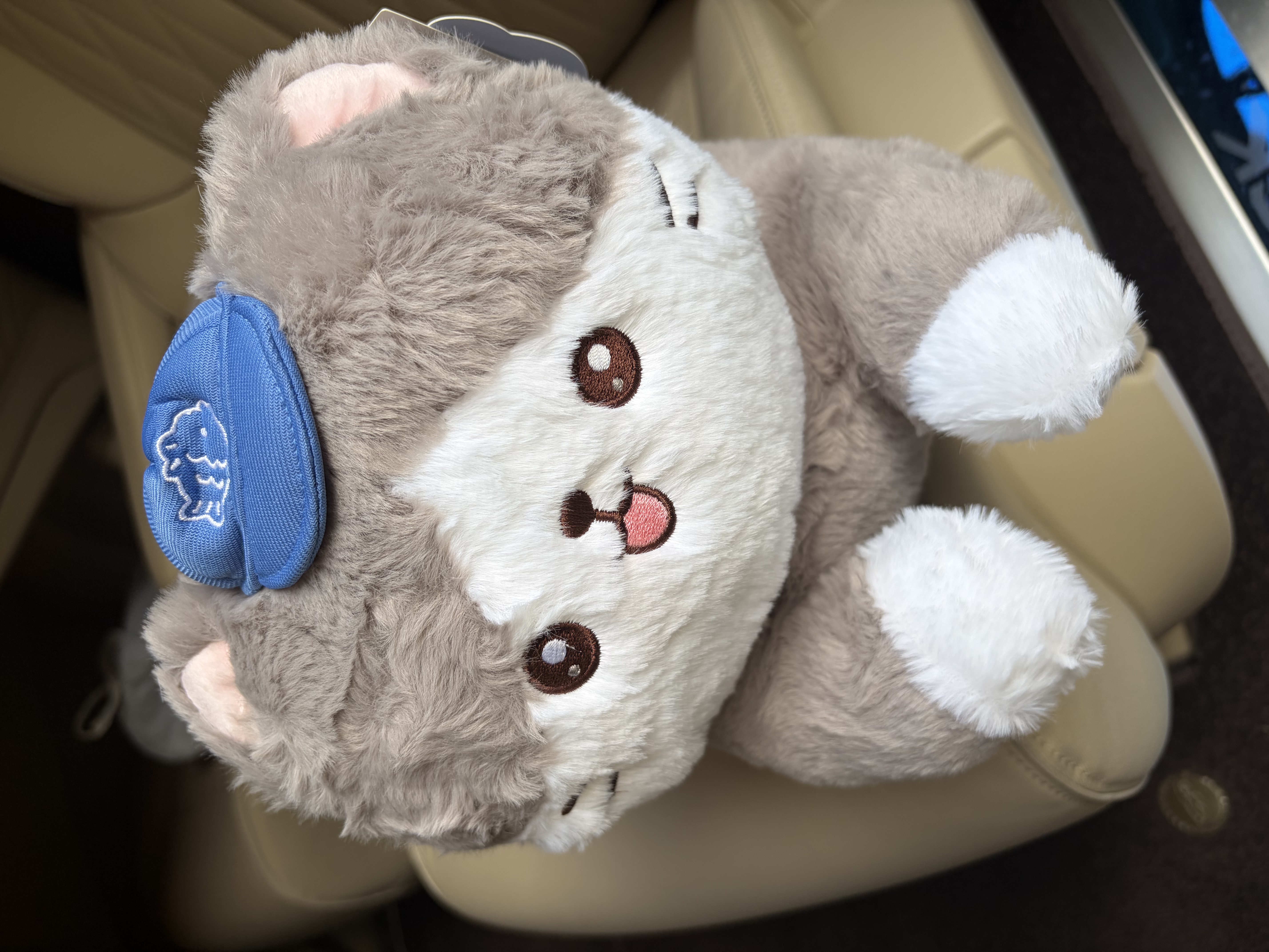 名创优品（MINISO）好朋友搭子系列长条陪伴公仔毛绒玩具玩偶抱靠枕生日礼物灰色猫咪 实拍图