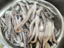 美加佳三去鱿鱼须250g 去牙去头去脏鱿鱼爪 铁板鱿鱼 海鲜水产聚餐 实拍图
