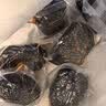 山山竹炭包汽车用新车车内除甲醛除异味专用车载吸去除味活性炭2160g 实拍图