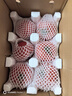 京鲜生陕西正宗普罗旺斯西红柿净重4.5斤果王180g+水果番茄源头直发 实拍图