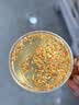 养益君柏子仁60g 新货正宗柏子仁籽白子仁搭柏子仁中药材助眠泡水喝 实拍图