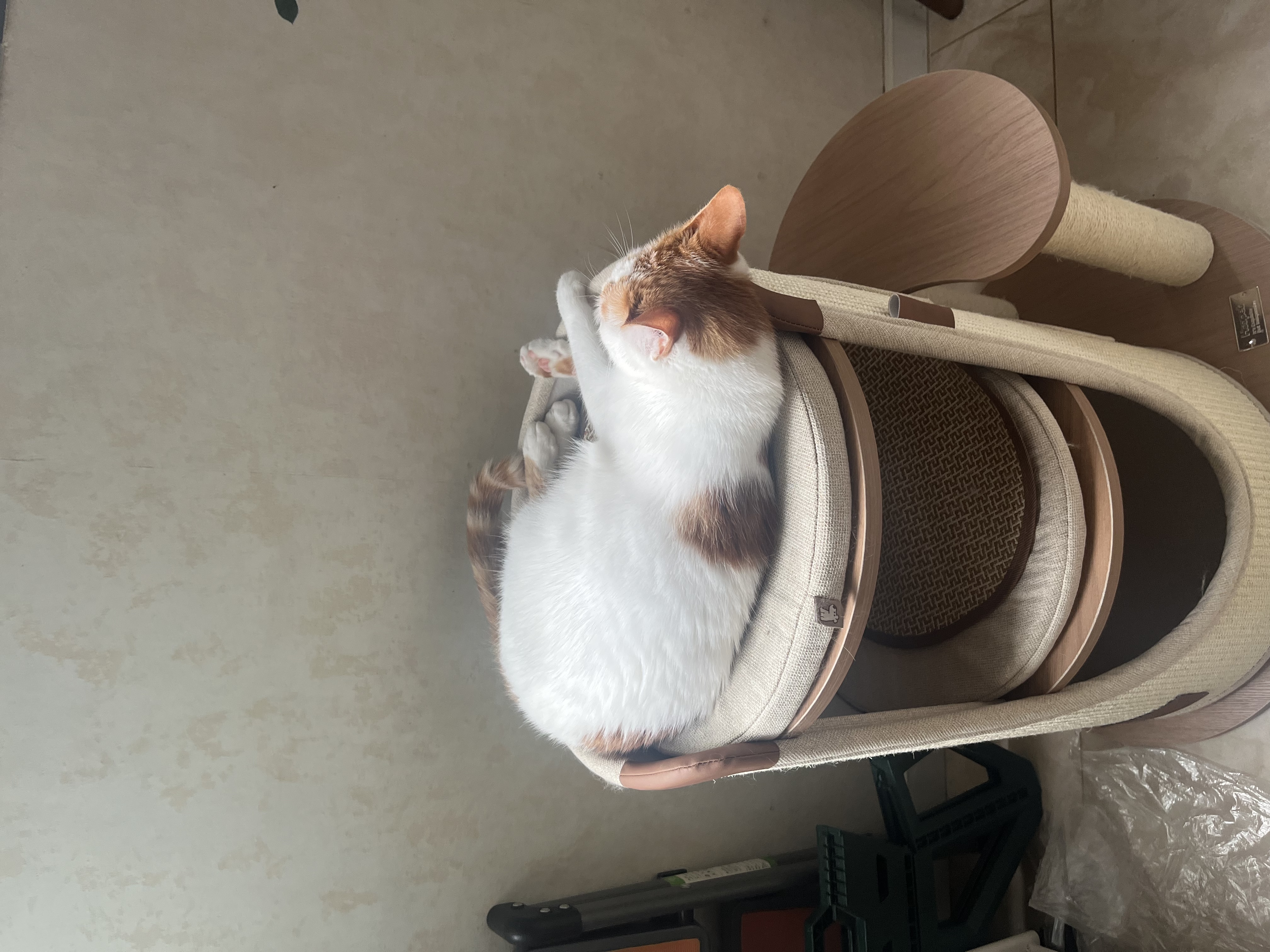 华元宠具（hoopet）冬季猫爬架家用小户型不占地猫窝一体猫咪观室内跳台剑麻桶猫抓桶 实拍图