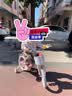 奥仕龙（AO SHI LONG）儿童自行车6-8-10岁小孩单车女孩公主脚踏车18寸童车自行车 实拍图