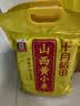 十月稻田 山西黄小米 5斤 真空袋装 山西特产 新米 小米黄小米 杂粮早餐粥 实拍图