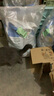 诺瑞（NORY）猫粮幼猫成猫猫粮全价添加滋润毛发牛油果蛋黄轻盐低油猫粮 羊奶肉包70g 实拍图