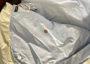 多喜爱纤维被子被芯空调被全棉面料ins卡通风夏凉被1.2米床152*218cm 实拍图