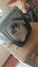 京东京造猫粮鸡肉味全价成猫粮10kg三文鱼肉营养美毛长肉质检流浪救助 实拍图