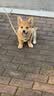 卡骆驰（CROCS）贝雅洞洞鞋沙滩鞋|10126 卵石色-2V3    36 /37(220mm)   实拍图