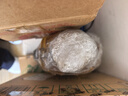 西王 食用油 玉米胚芽油鲜胚3L 非转基因物理压榨 实拍图