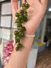 AMOR HOUR好运风铃手工DIY材料包挂件2个装配饰铃兰花绿葡萄手机链挂坠钥匙链背包新中式包包挂饰重阳节礼物 实拍图