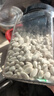 素养生活有机白芸豆1斤 小白芸豆 白腰豆 菜豆 饭豆 小粒 五谷杂粮 粗粮 实拍图
