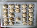 粤饺皇韭菜猪肉饺480g/24个 手工蒸饺煎饺饺子水饺儿童早餐速冻半成品 实拍图