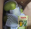 京觅云南凯特甜芒果 净重5斤单果400g+ 新鲜当季水果生鲜 源头直发 实拍图