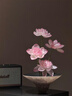 维达（Vinda）抽纸【孙颖莎推荐】棉韧3层100抽*24包S码 亲肤无刺激纸巾 AB混发 实拍图