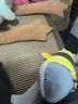 网红小鲨bee搞怪创意毛绒公仔抱枕生日情人节礼物 鲨鱼Bee 23厘米 实拍图