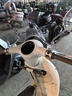 台铃电动车【门店自提】台铃超能S·苍穹电动摩托车高端长续航电摩时尚电瓶车成人通勤代步 618限时特惠（苍穹2025款） 实拍图