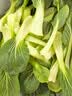 上海青约500g(油菜) 实拍图