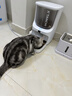 小甜橙双摄可视AI自动喂食器 视频监控 定时定量 猫狗宠物喂食  实拍图