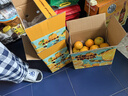 京鲜生  秭归脐橙/鲜橙   铂金果  净重4.5斤 单果150g起  水果端午礼盒 实拍图