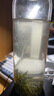 伊利【新鲜日期】金典纯牛奶早餐奶250ml*16盒3.6g乳蛋白端午礼盒 4月 实拍图