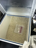 十月稻田 绿色食品 五常大米 10斤(香米 东北大米 5kg/公斤) 实拍图