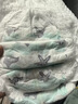 碧芭宝贝盛夏光年Pro拉拉裤XXXXL码24片(≥20kg)学步裤尿不湿夏天超薄透气 实拍图
