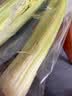 大芹菜约400g 实拍图