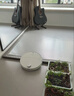 石头（roborock）【保价618】扫地机器人扫拖一体 P20 Max 自动上下水版自动集尘热水洗拖布擦地拖地 A2950RR 实拍图