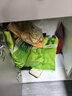 维维无添加蔗糖豆奶粉500g 非转基因大豆营养早餐冲饮代餐 速溶即食 实拍图