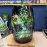 丘辰苔藓微景观养鱼生态瓶diy办公室内桌面绿植摆件花卉盆栽生日礼物 翠微2025款-店长推荐 实拍图