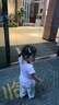 嘟嘟家【防蚊裤】女童裤子宽松夏季女孩灯笼裤透气女宝束脚裤夏款童装潮 云灰紫 100 实拍图