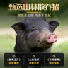 中腊 正宗柴火烟熏五花腊肉500g四川特产烟熏肉咸肉湖南贵州农家自制 实拍图