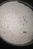 艾享医用棉签一次性消毒化妆尖圆双头成人婴儿掏耳朵独立包装100支 实拍图