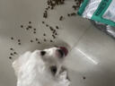 凯锐思贵宾泰迪幼犬狗粮 1-12月小型犬专用天然奶糕犬粮2kg 实拍图