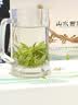 山水西湖精选安吉白茶2026新茶明前头采嫩芽茶叶袋装50g春茶送礼物自己喝 实拍图