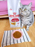 皇家成猫猫粮 营养均衡 F32 通用粮 1-7岁4.5kg*2 实拍图