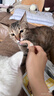 petofstory宠物猫零食冻干鸡脖100g 磨牙洁齿猫咪零食磨牙棒猫咪用品 实拍图