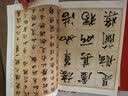 墨点字帖 赵孟頫洛神赋毛笔字帖 字帖成人毛笔书法字帖成人字帖行楷行书字帖成人行楷书字帖 赵孟頫洛神赋 实拍图