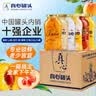 真心248g*6罐黄桃/山楂/桔子/梨/椰果/什锦/罐头 水果罐头礼物 实拍图