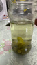 福茗源花草茶 小叶苦丁茶叶 特级品质新茶峨眉山青山绿水嫩芽单叶250g 实拍图