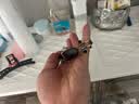 积优（JEAYOU）浪琴表带真皮男 适用名匠八针月相先行者康卡斯律雅嘉岚手表带链 实拍图