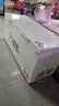 北极熊（BEIJIXIONG）冰柜家用商用卧式大容量冷柜冷藏冷冻单双温展示柜节能省电 单温728升【一级节能 全国联保】 728L 实拍图